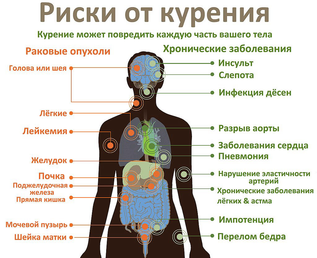 Жизнь без табака